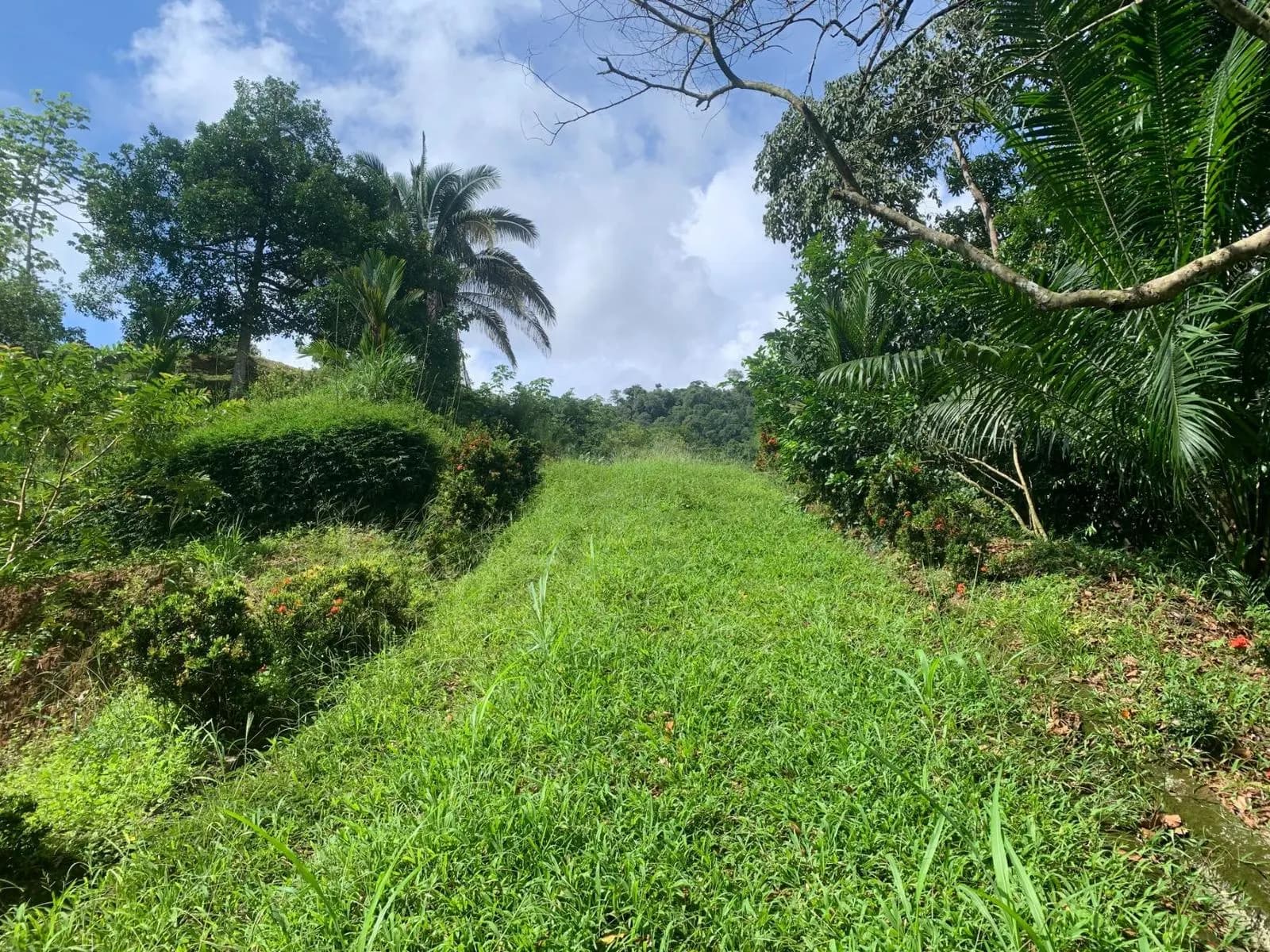 Terreno en Bahía Ballena