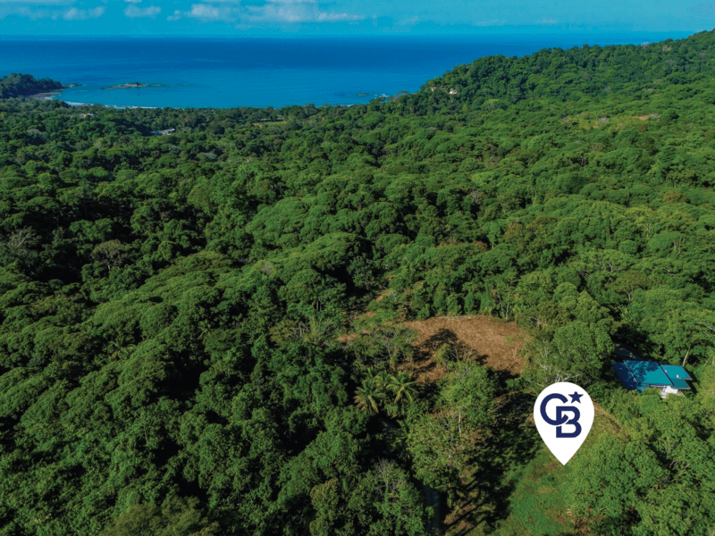 Land at Bahía Ballena