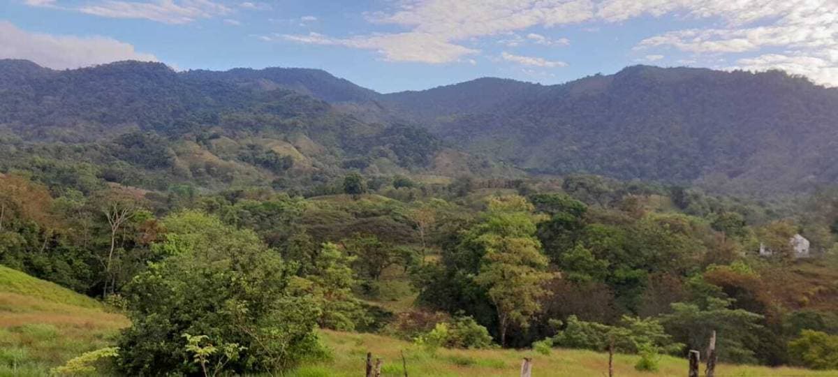 Finca en Parrita