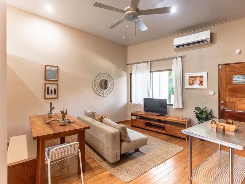 Property at Nosara