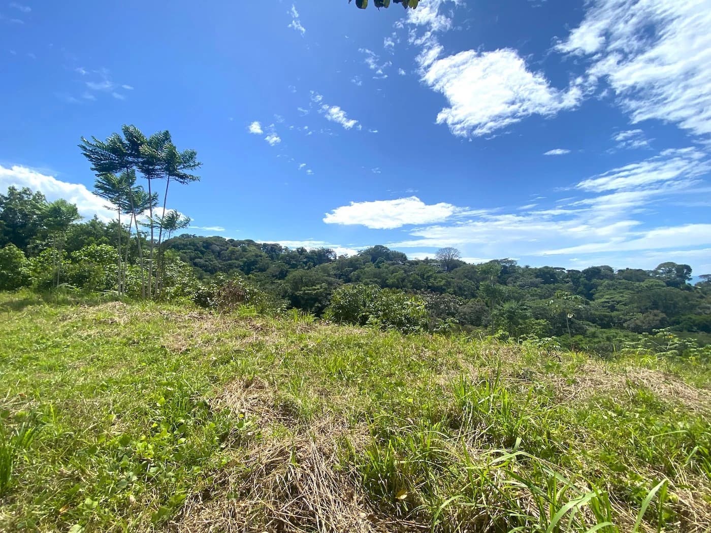 Land at Puerto Cortés