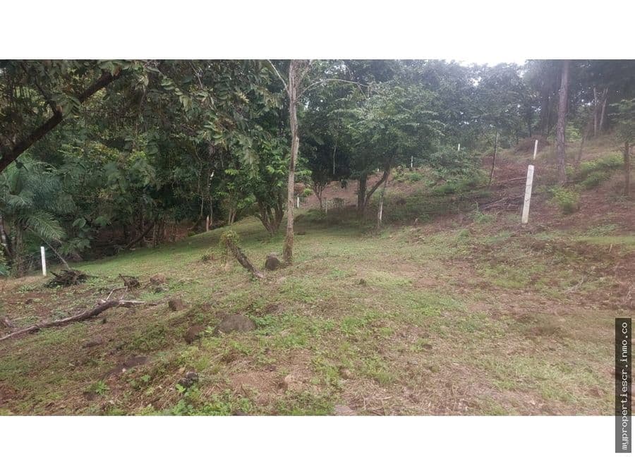 Terreno en Coyolar