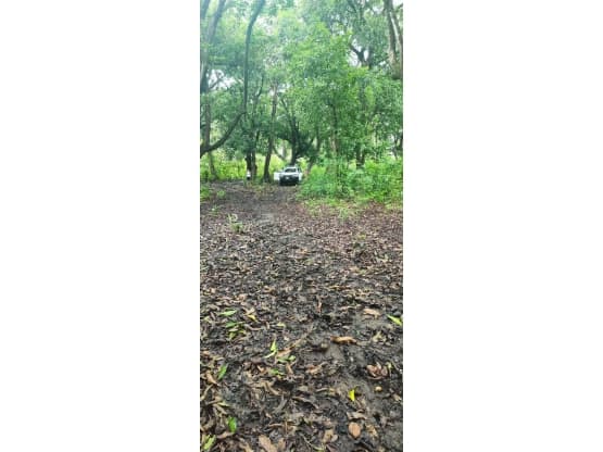 Property at Guanacaste