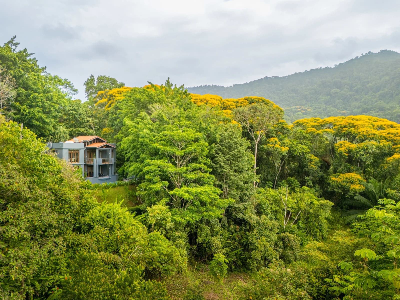 House at Bahía Ballena