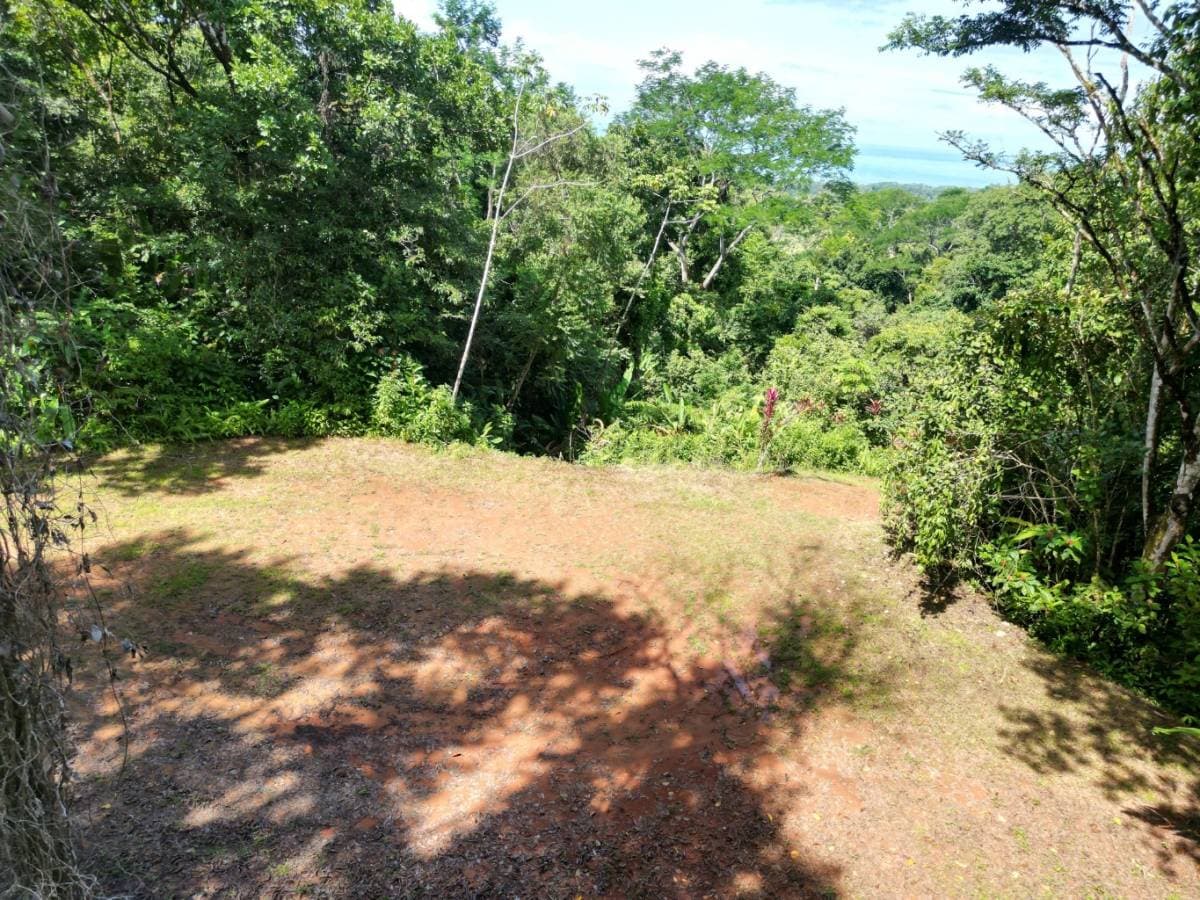 Property at Savegre