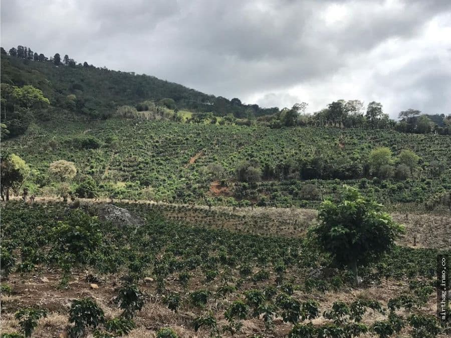 Terreno en Orosí
