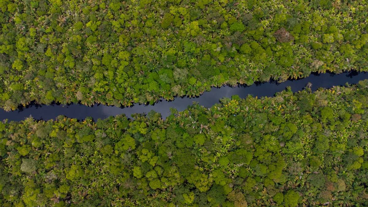 Property at Colorado