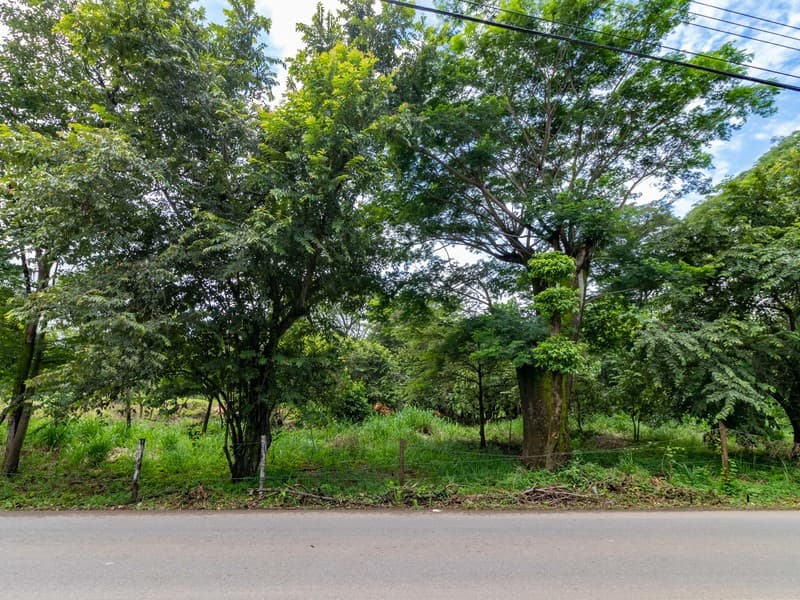 Terreno en Nosara