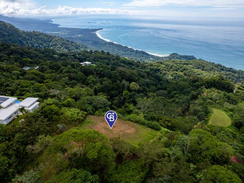 Land at Bahía Ballena