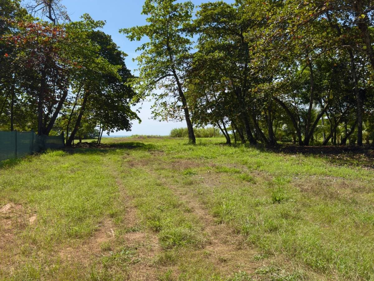 Propiedad en Parrita