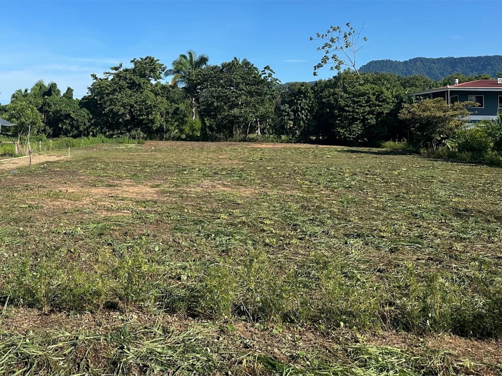 Terreno en Bahía Ballena