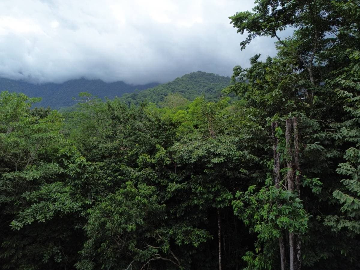 Propiedad en Ojochal