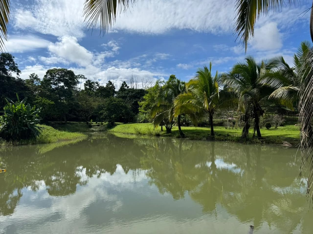 Property at La Palmera