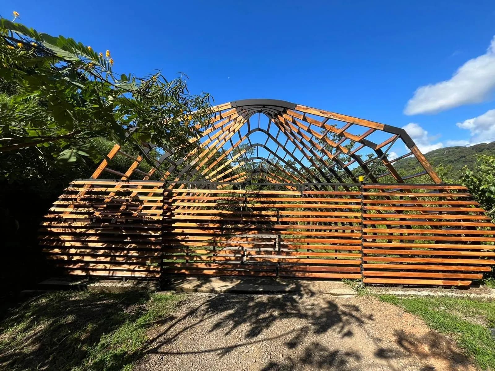 Land at Bahía Ballena