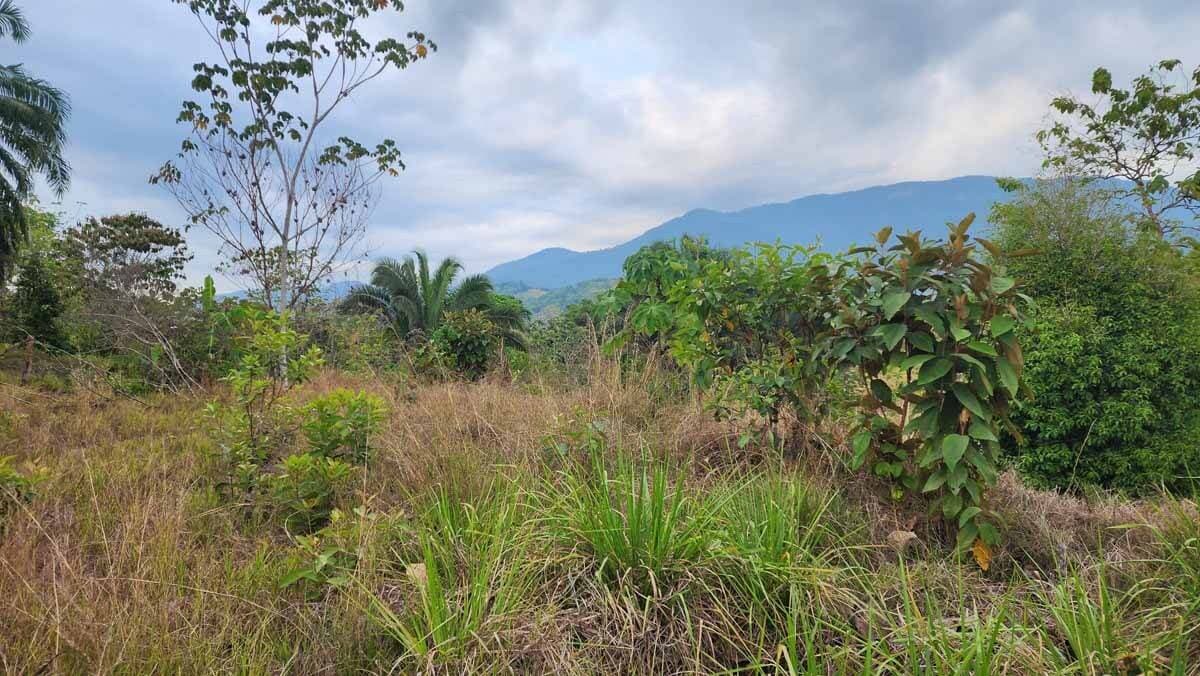 Propiedad en Manuel Antonio