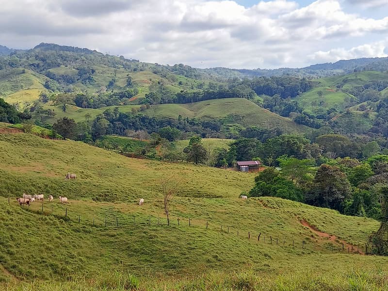 Land at San Isidro de El General