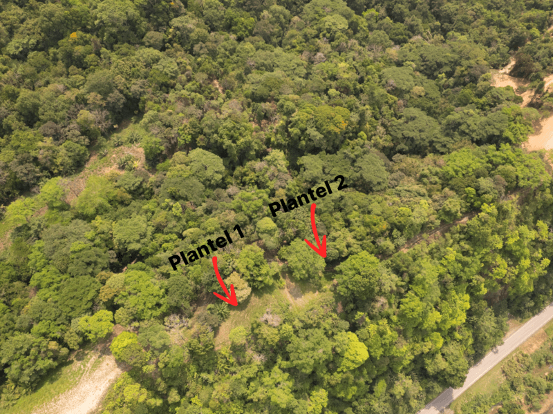 Terreno en Puerto Cortés