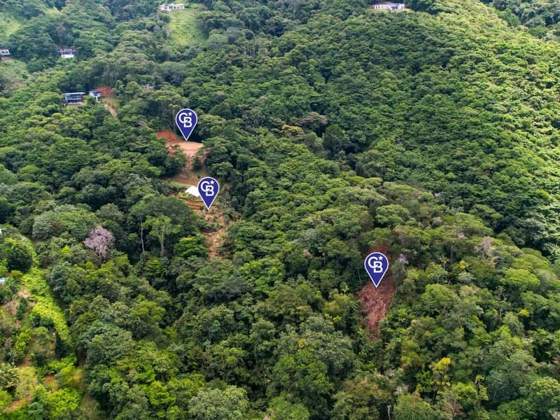 Land at Bahía Ballena