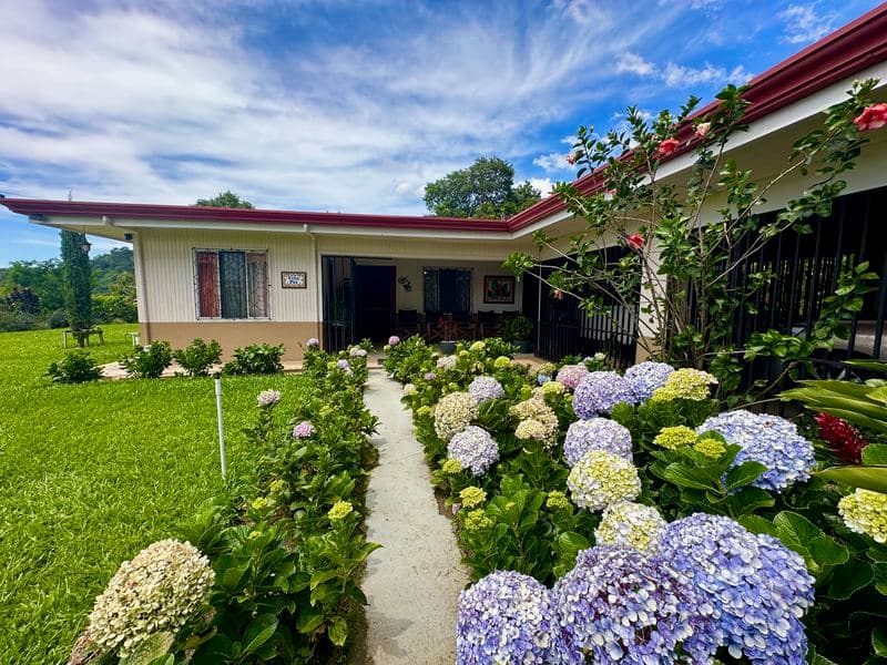 Property at Mercedes