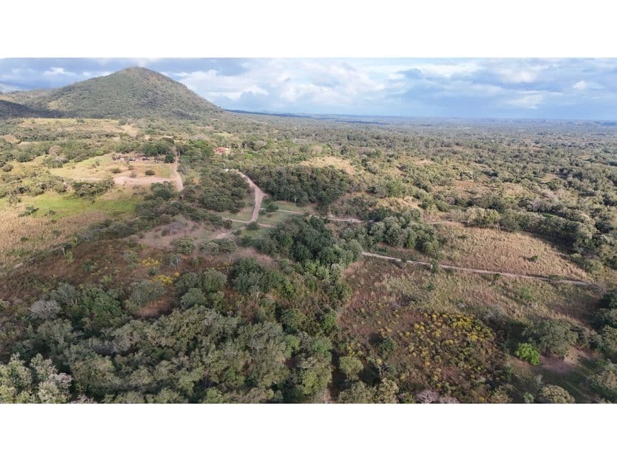Terreno en Cañas Dulces