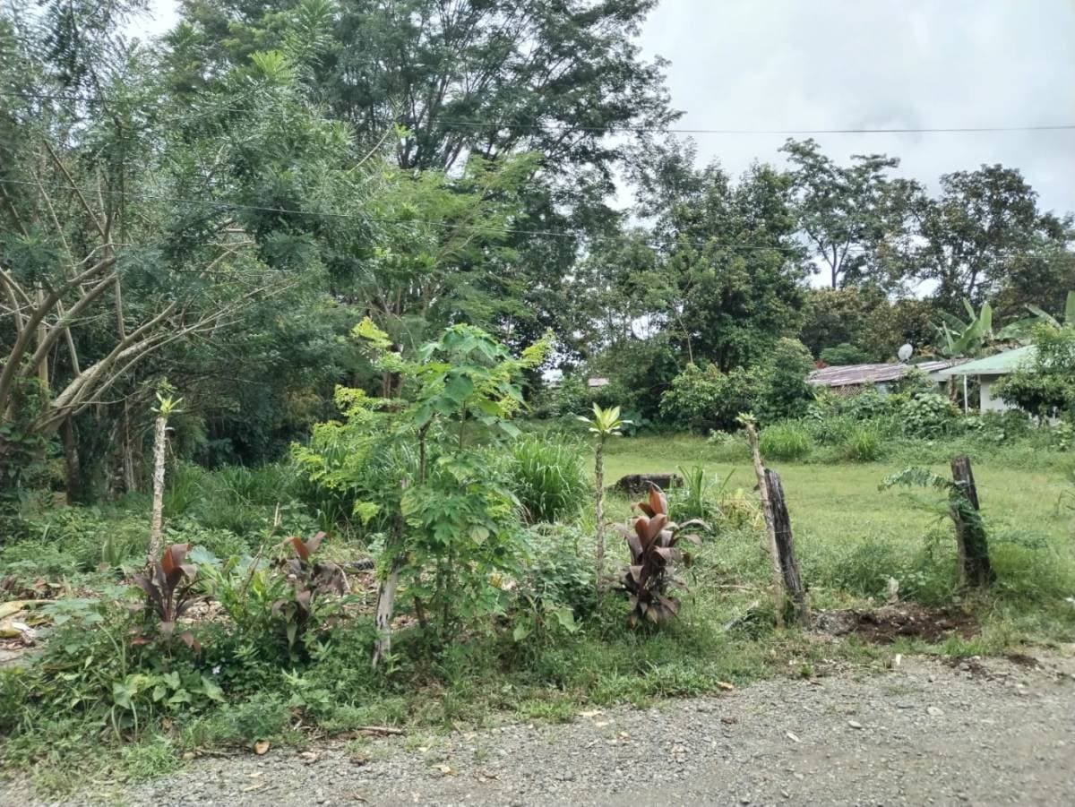 Property at Quepos