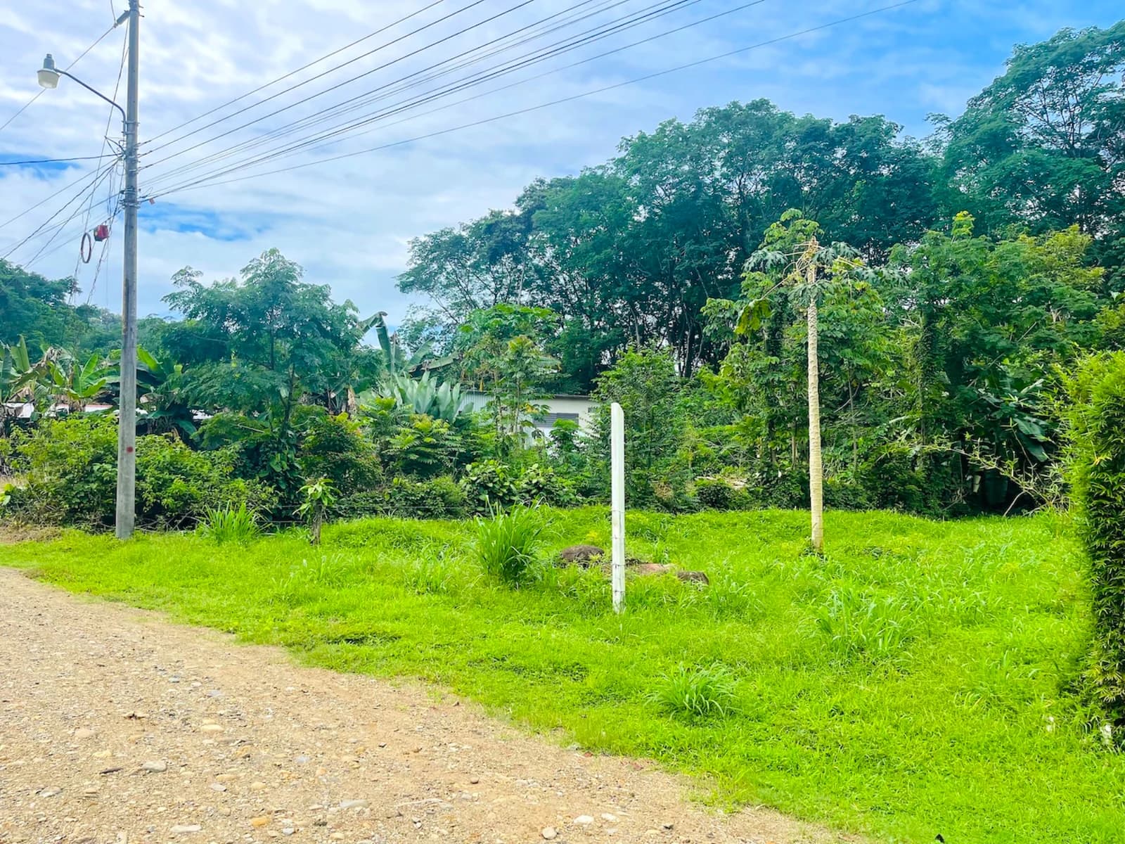 Terreno en Bahía Ballena