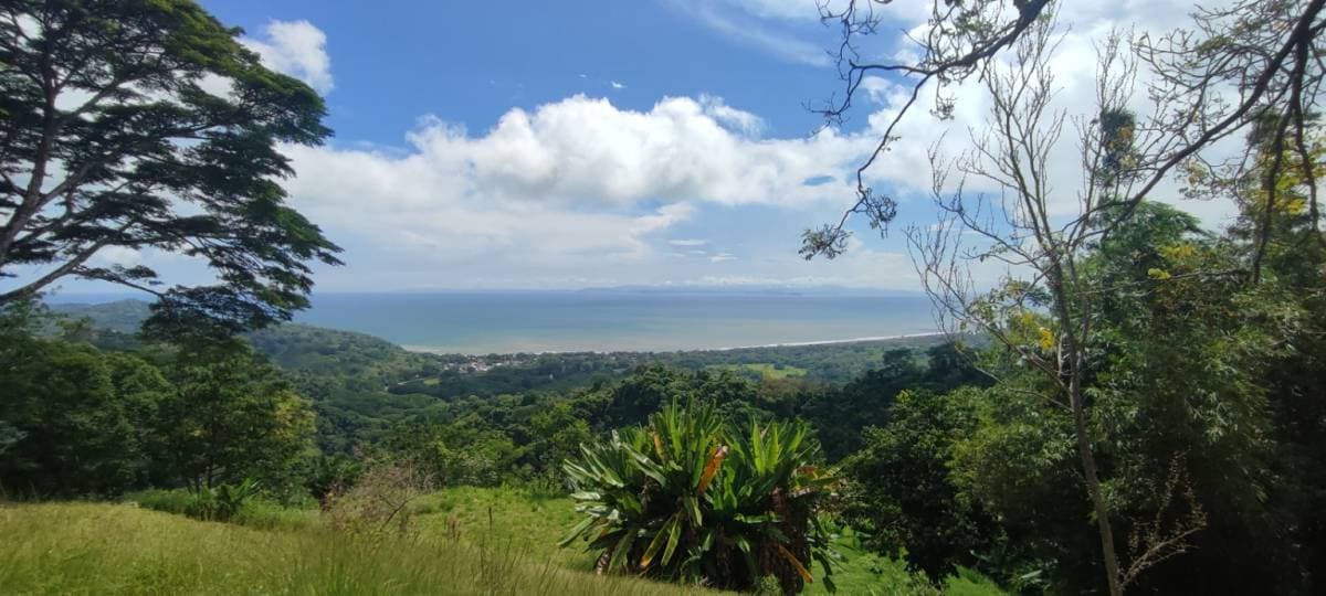 Propiedad en Camaronal