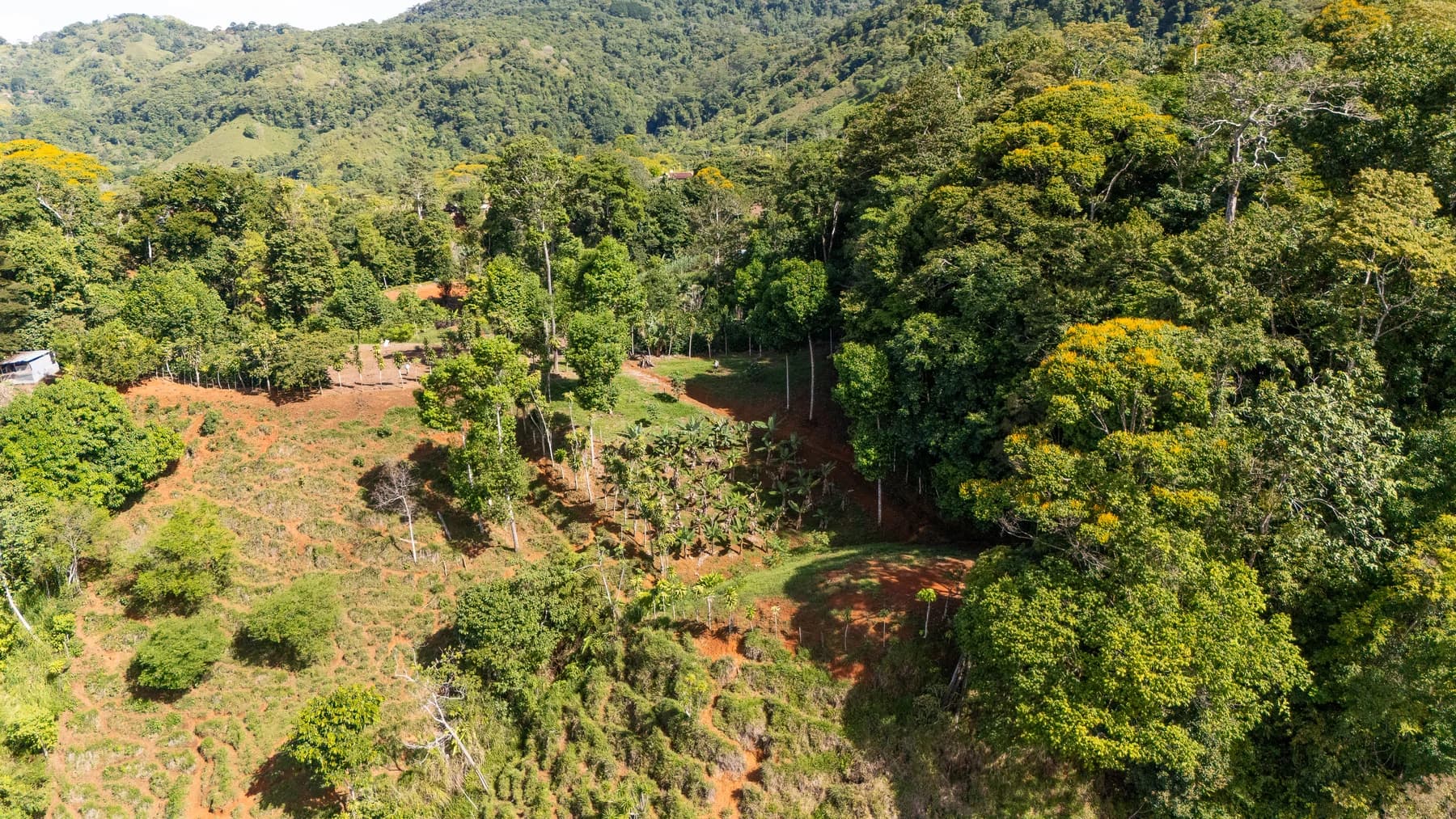 Land at San Isidro del General