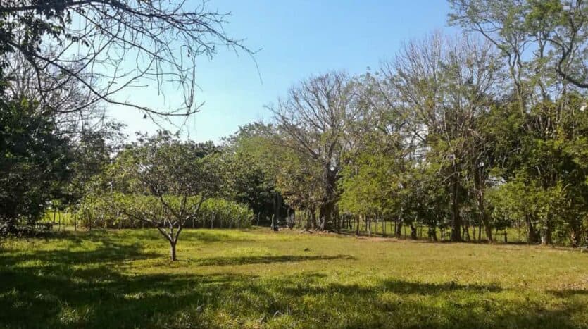 Land at Las Delicias