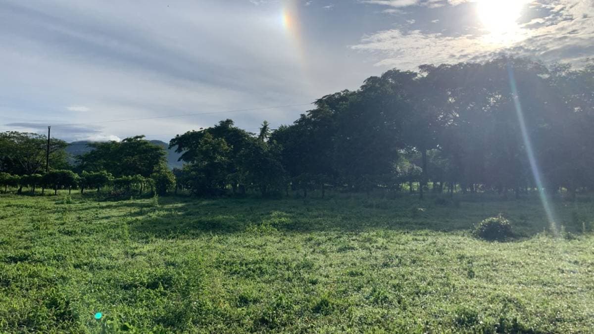Propiedad en Tamarindo