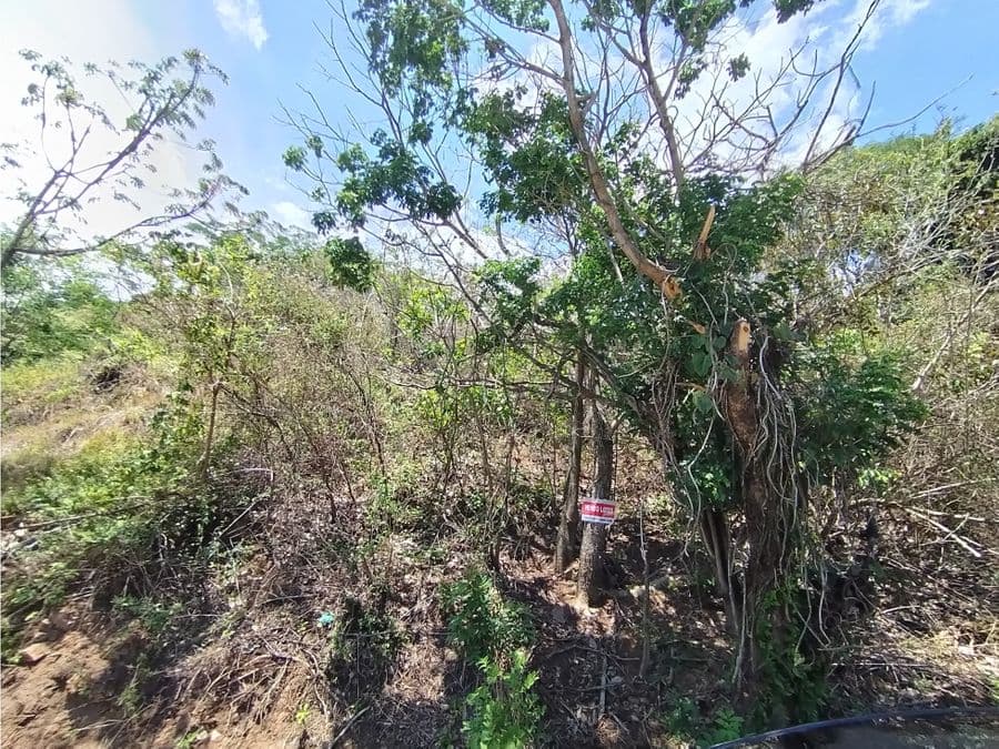 Terreno en San José