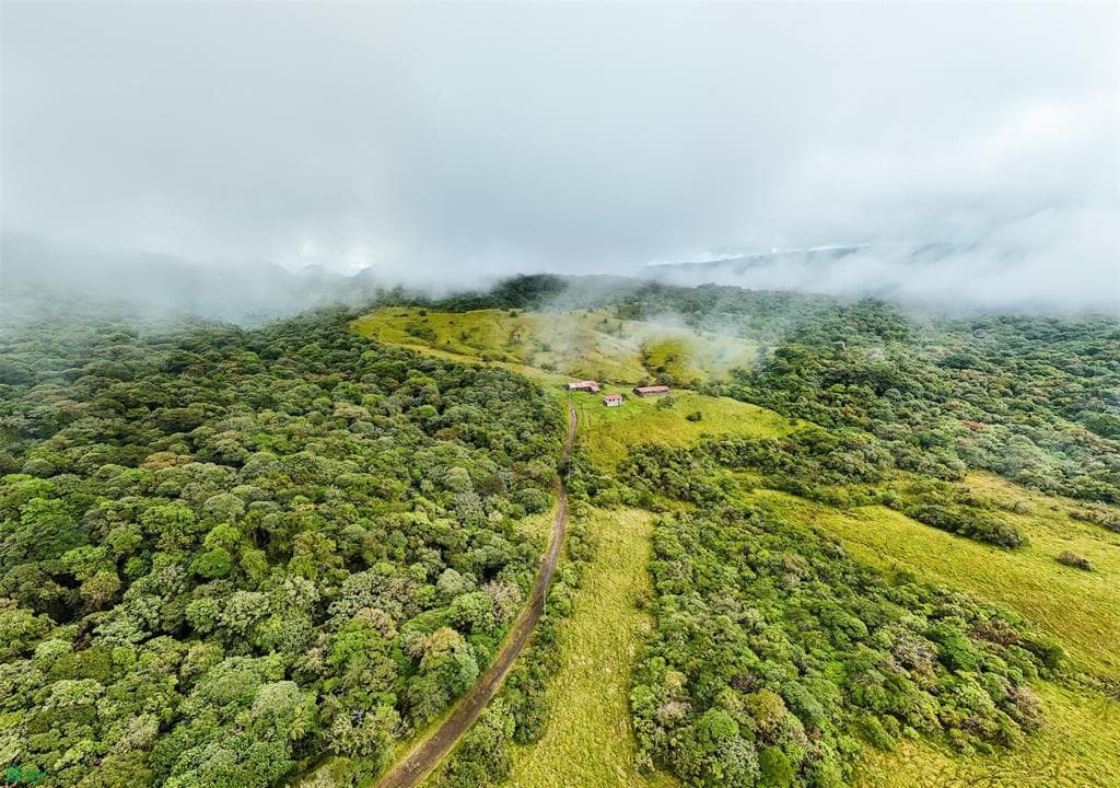 Land at San Jerónimo