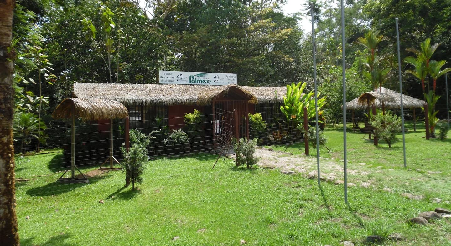 Commercial at Puerto Cortés