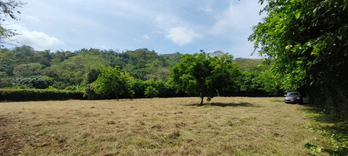 Property at Playa Hermosa