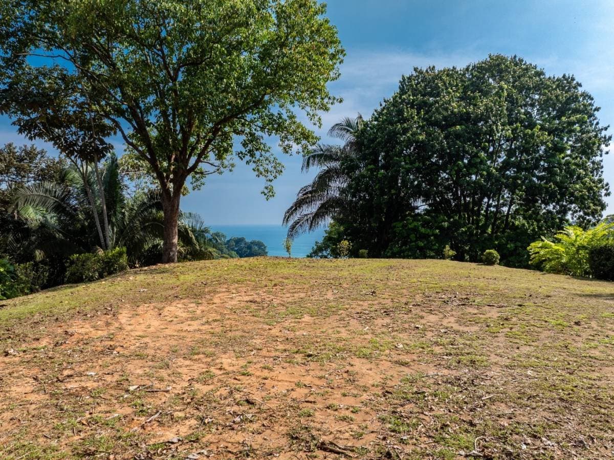 Property at Bahía Ballena