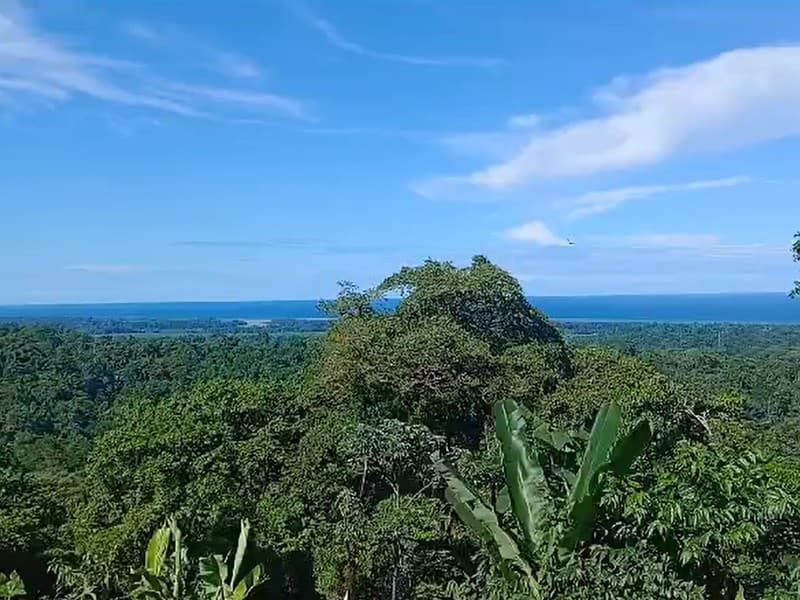 Land at Cahuita