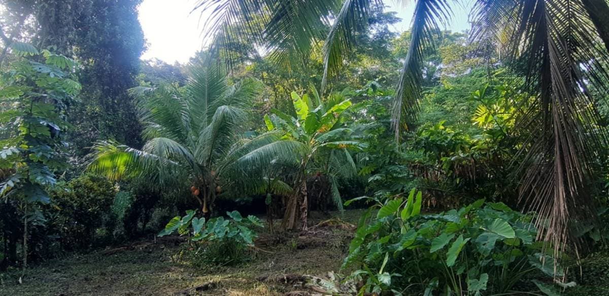 Property at Comadre