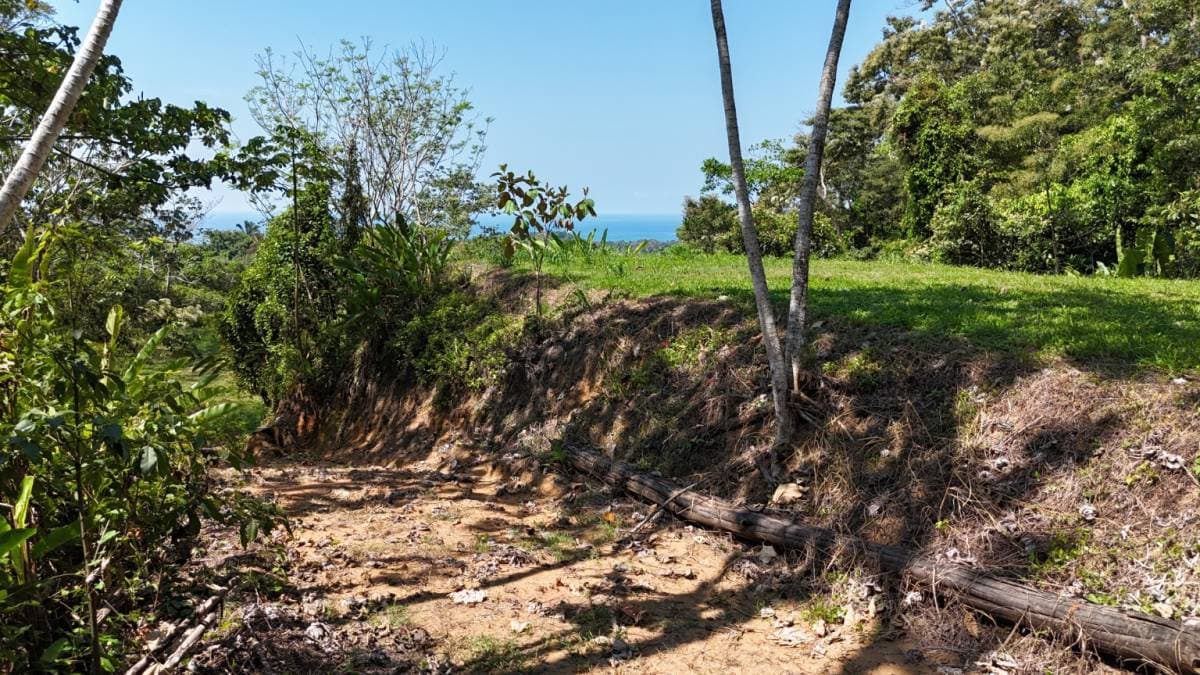 Property at Hatillo