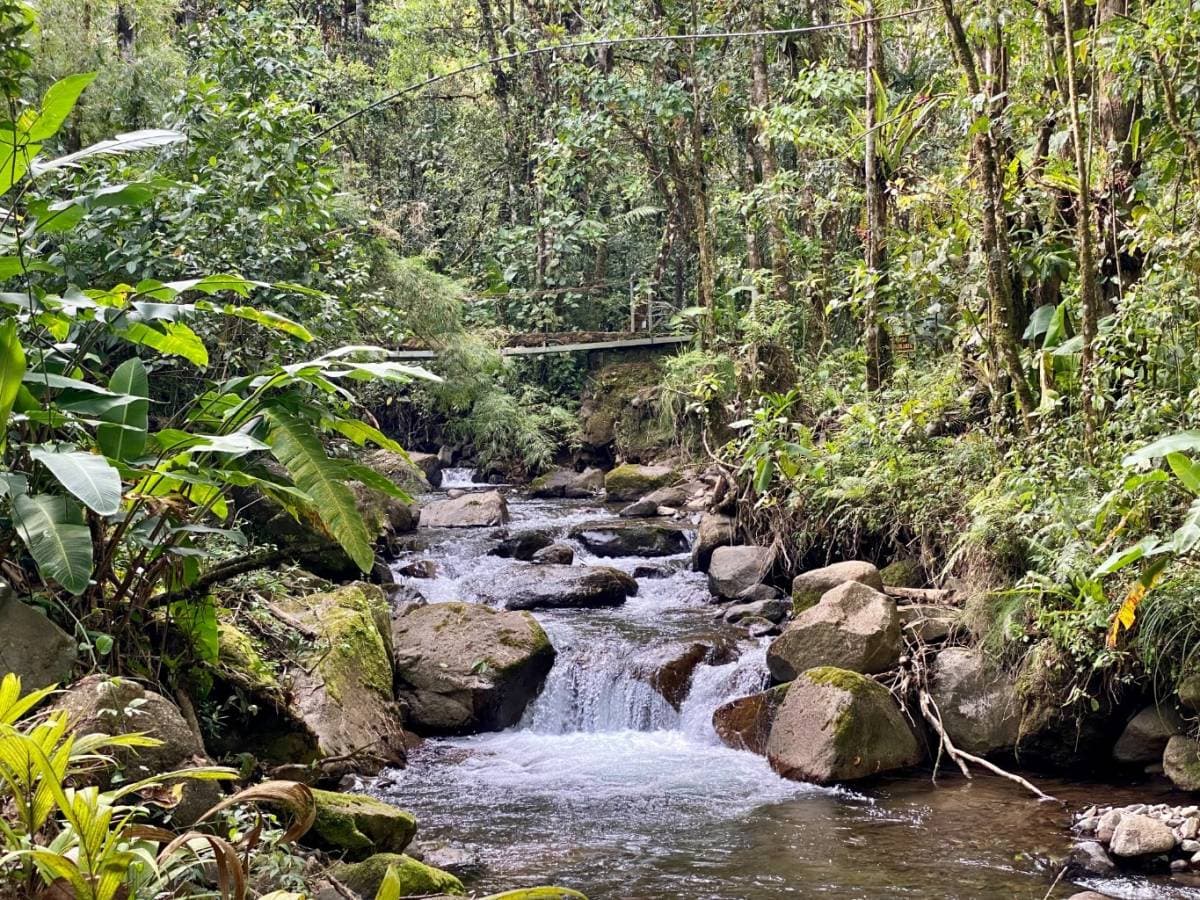 Propiedad en Toro Amarillo