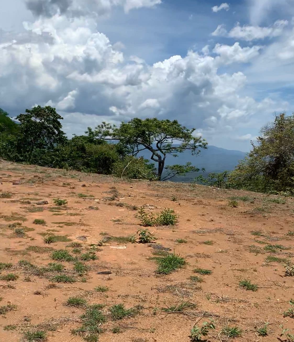 Propiedad en Orotina