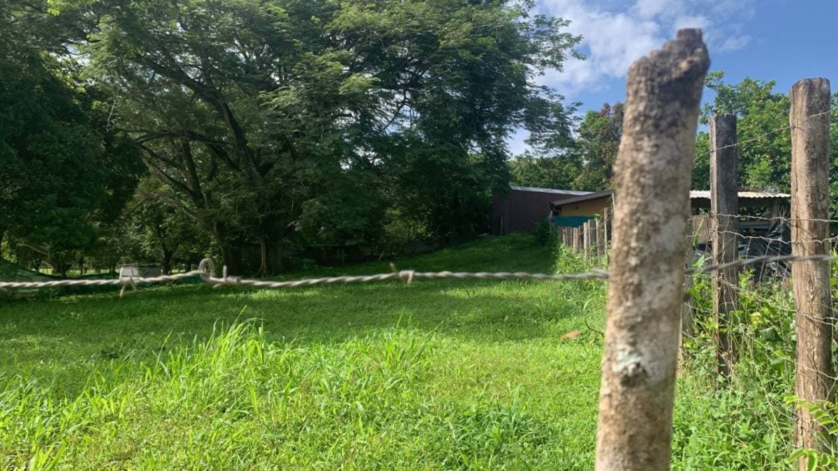 Propiedad en Tamarindo
