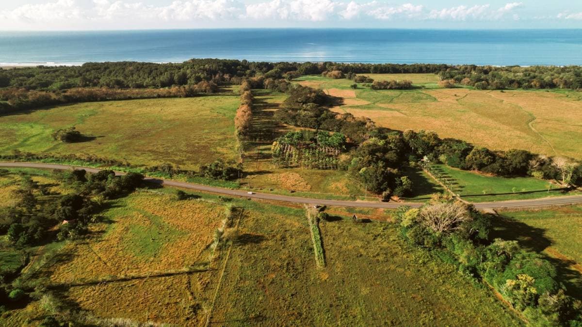 Estate at Platanillo