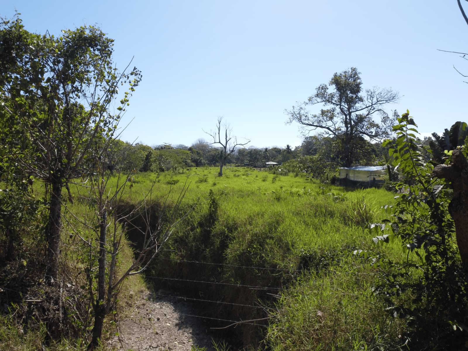 Terreno en Cóbano