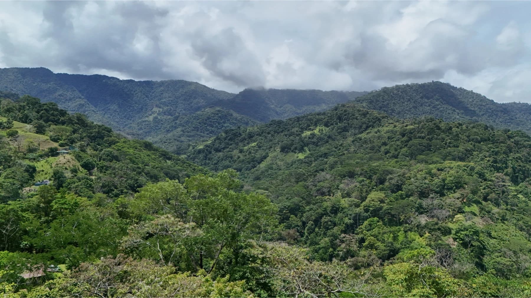 Terreno en Bahía Ballena