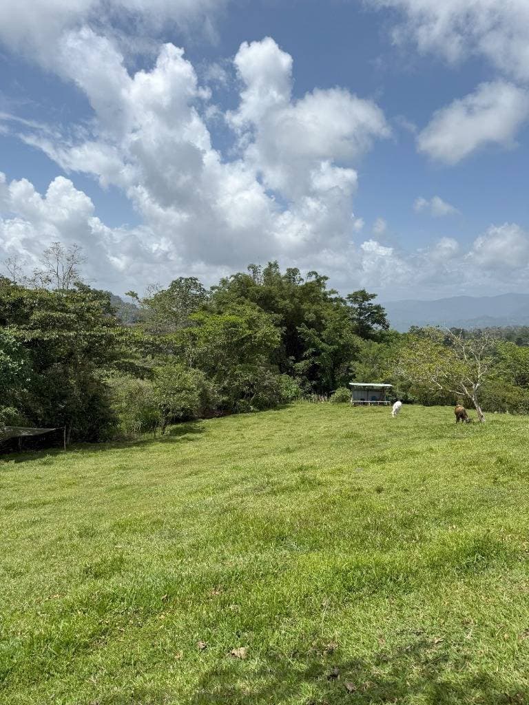 Finca en Santa Teresita