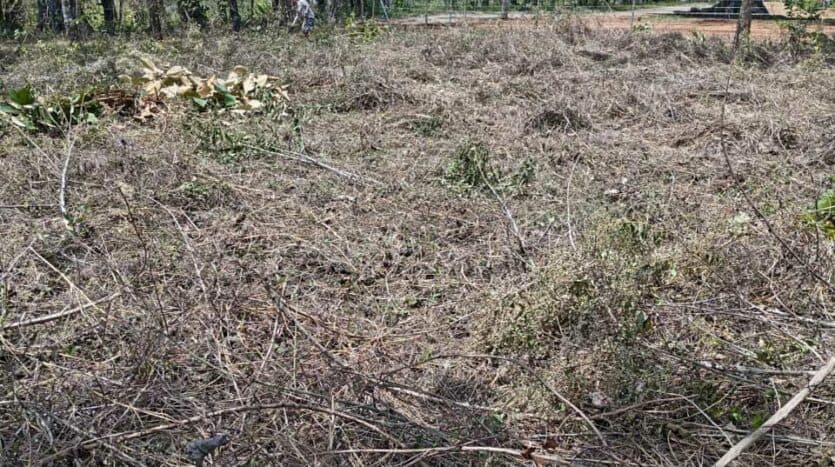 Land at Las Delicias