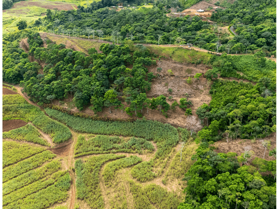 Land at Turrialba