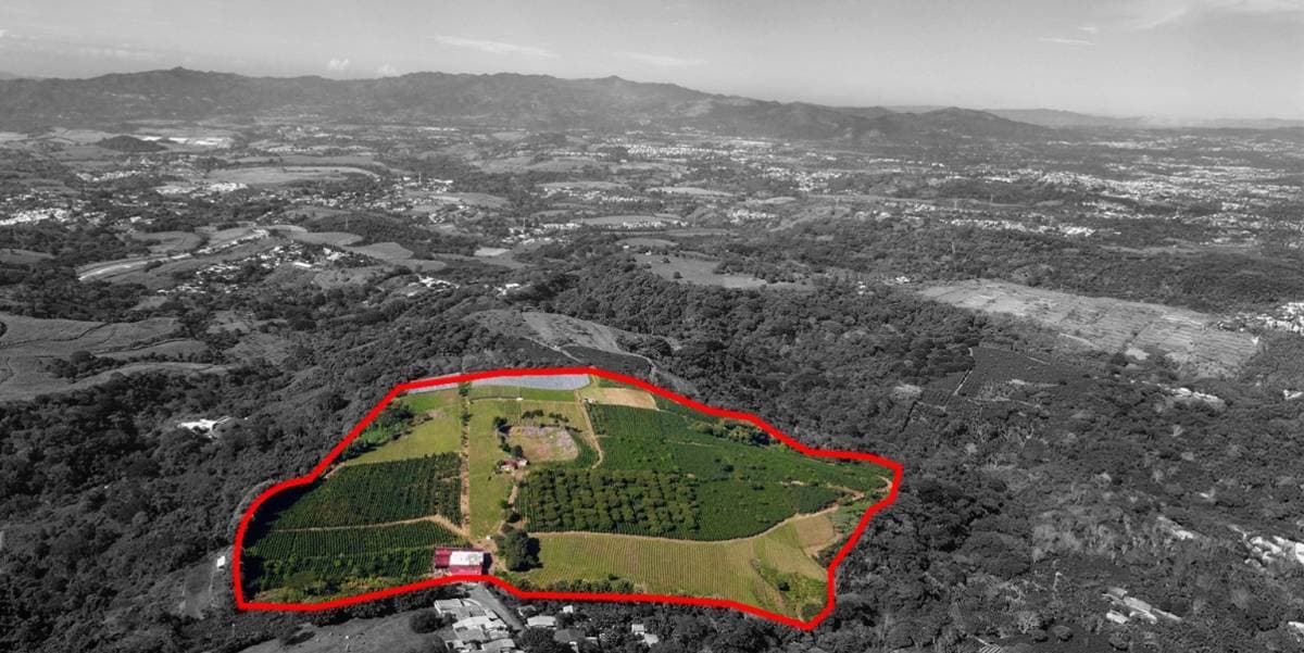 Property at Carrillos