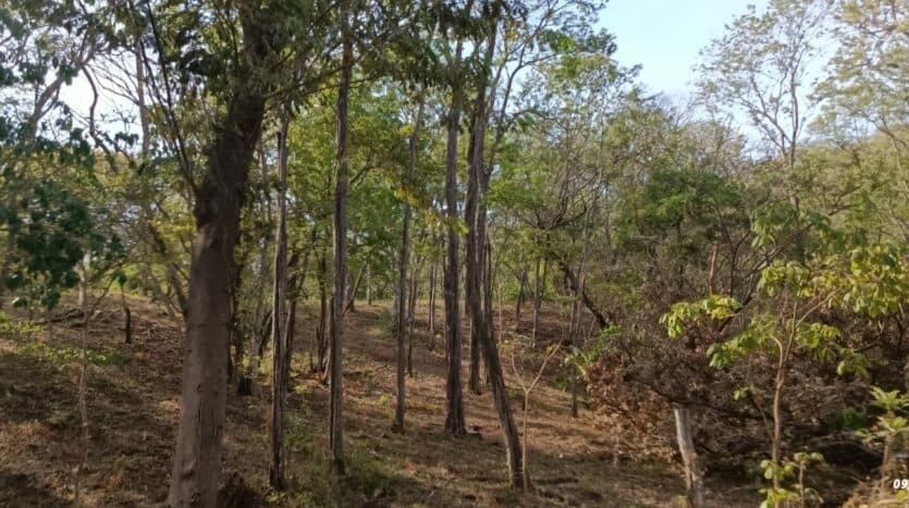 Terreno en Tamarindo