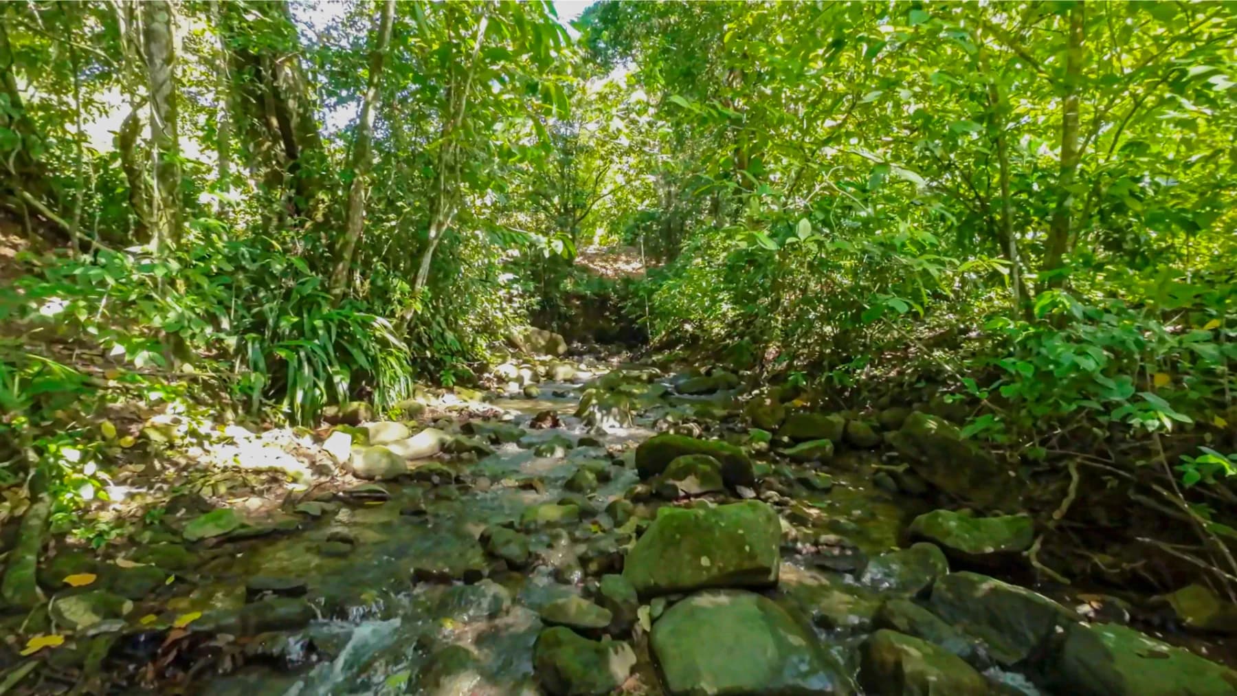 House at Condominio Las Brisas